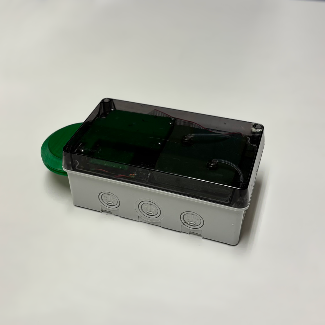 IMG_3810