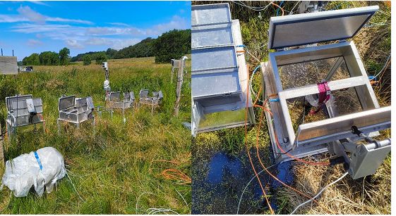 Very good results from the MISO Pilot in Wetland Denmark